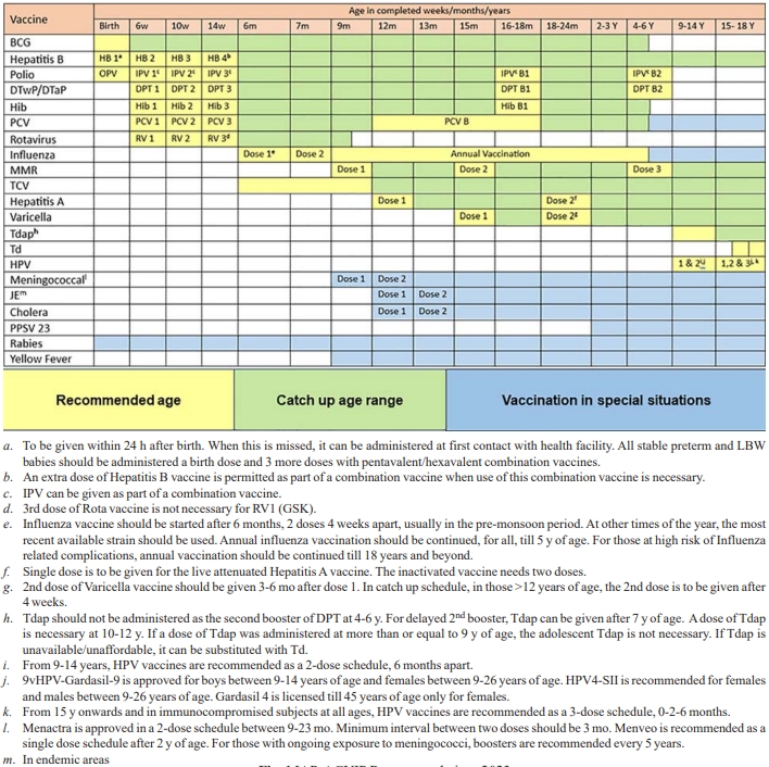 IAP Immunization Schedule